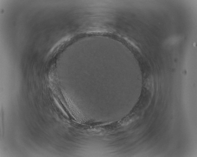 X0000084041351200703022138