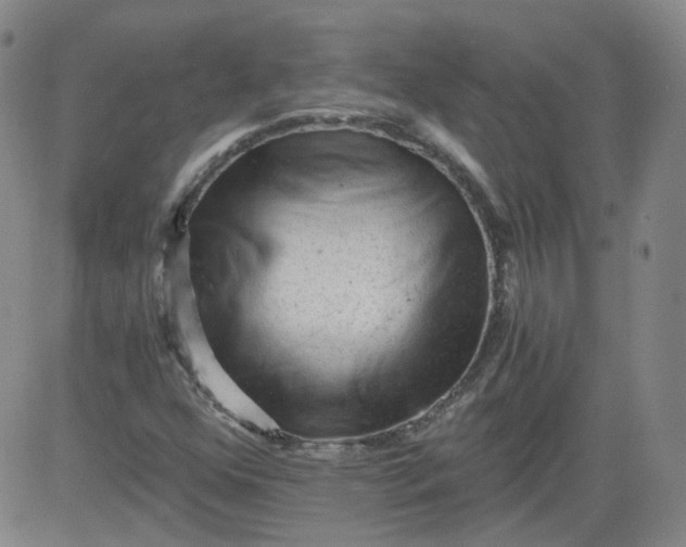 X0000084041352200703022138