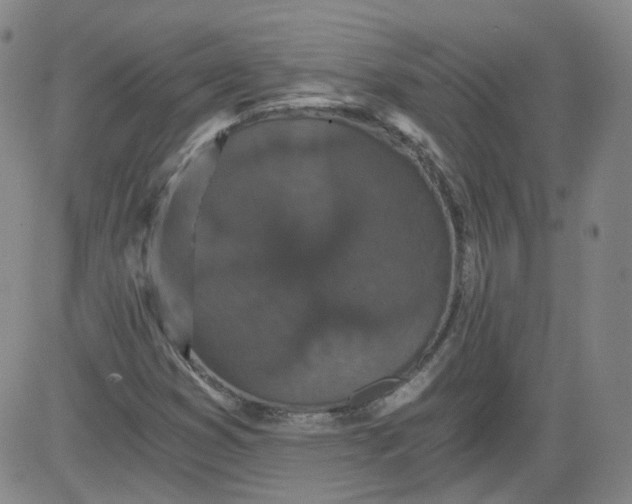 X0000084041353200703022138