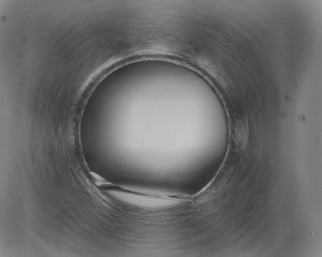 X0000084041356200703022138