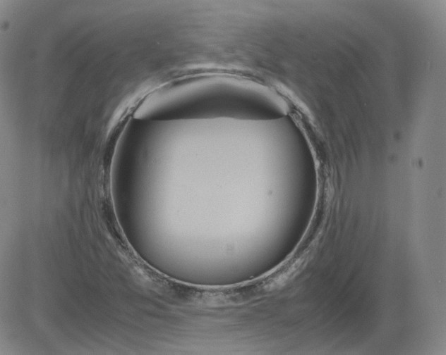 X0000084041357200703022138