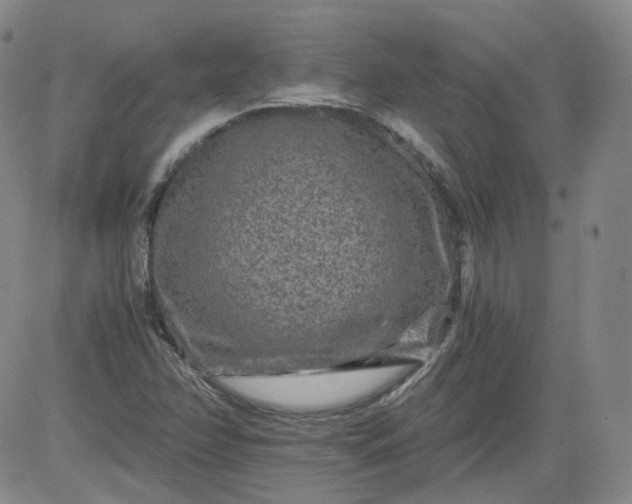 X0000084041358200703022138