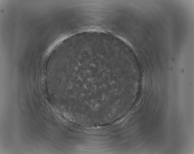 X0000084041359200703022138