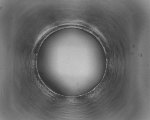 X0000084041360200703022138