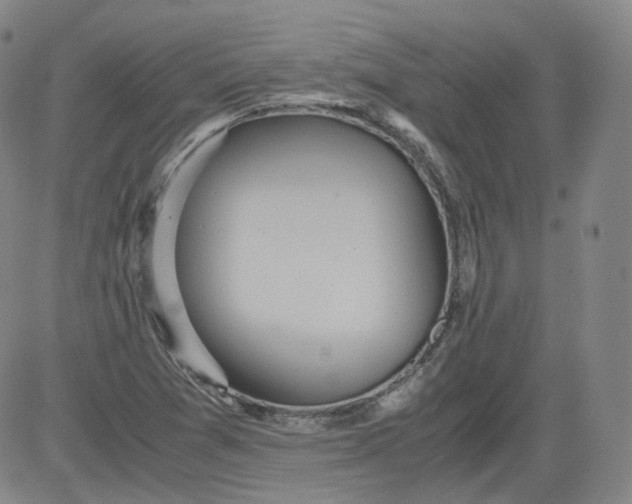 X0000084041361200703022138