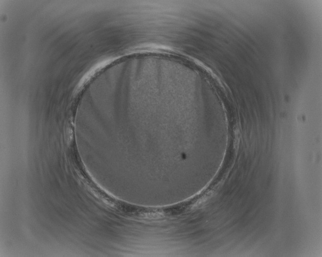 X0000084041363200703022138