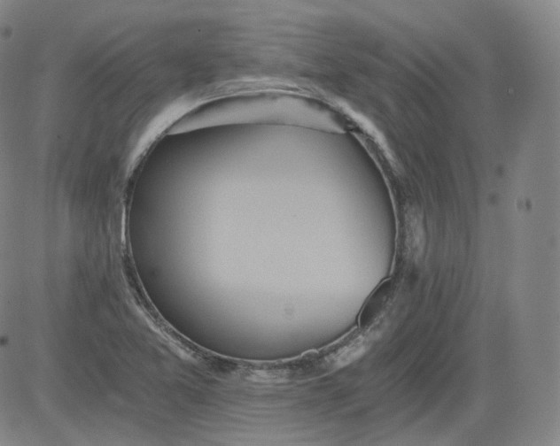 X0000084041365200703022138