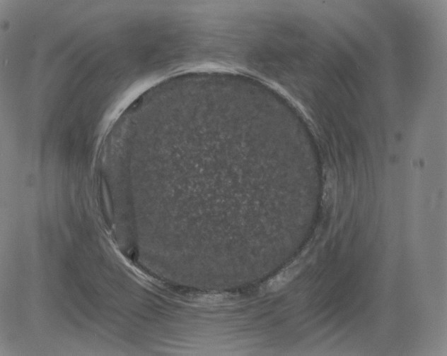 X0000084041367200703022138