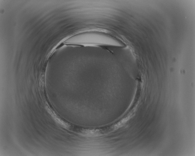 X0000084041369200703022138