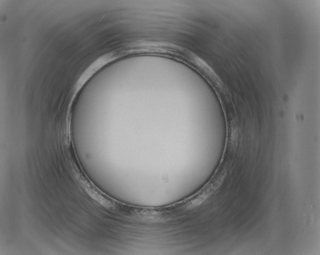 X0000084041370200703022138