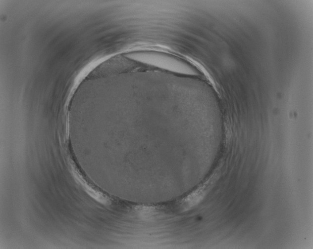 X0000084041371200703022138