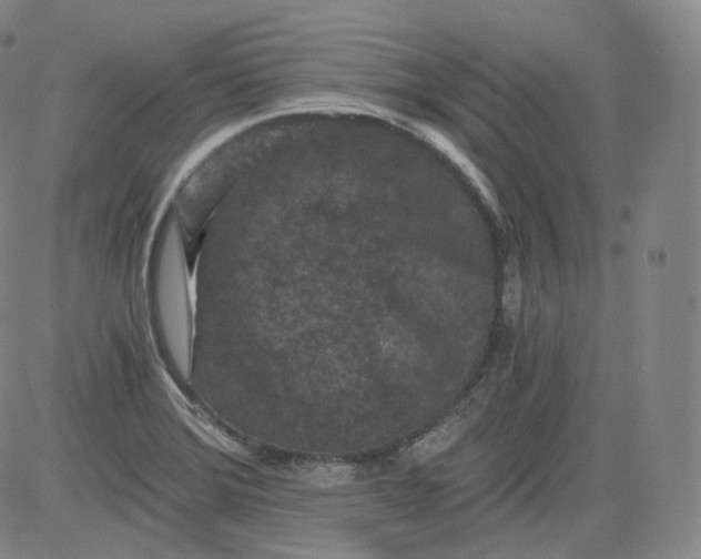 X0000084041372200703022138