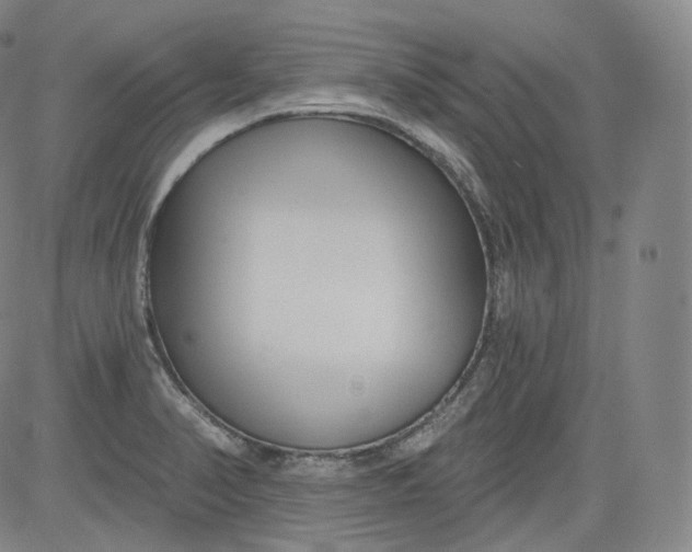 X0000084041374200703022138