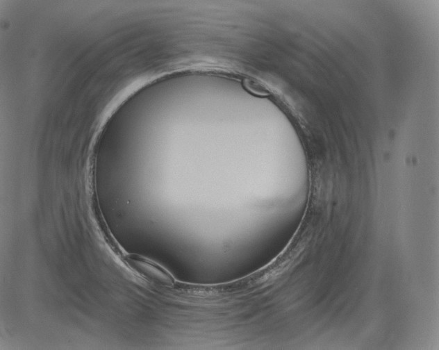 X0000084041375200703022138