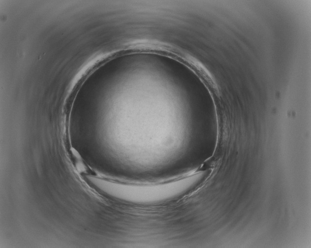 X0000084041376200703022138