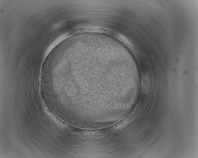 X0000084041378200703022138