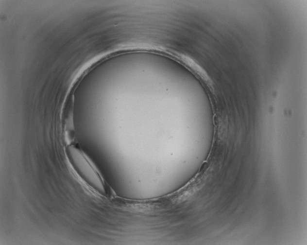 X0000084041380200703022138