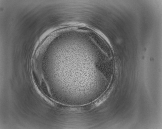 X0000084041381200703022138