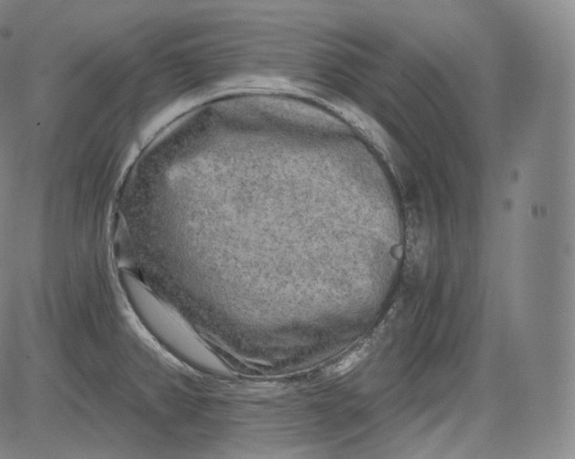 X0000084041382200703022138