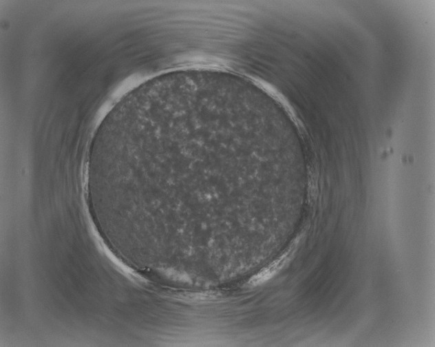 X0000084041383200703022138