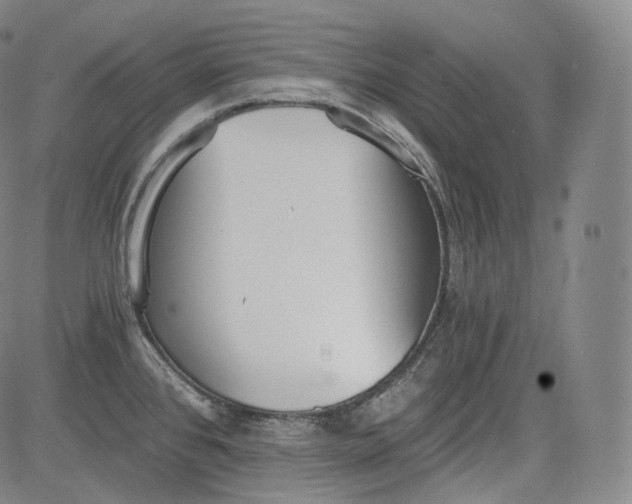 X0000084041384200703022138