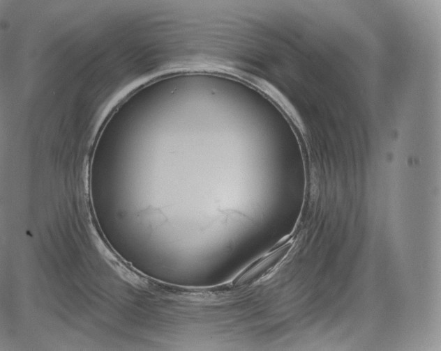 X0000084041388200703022138