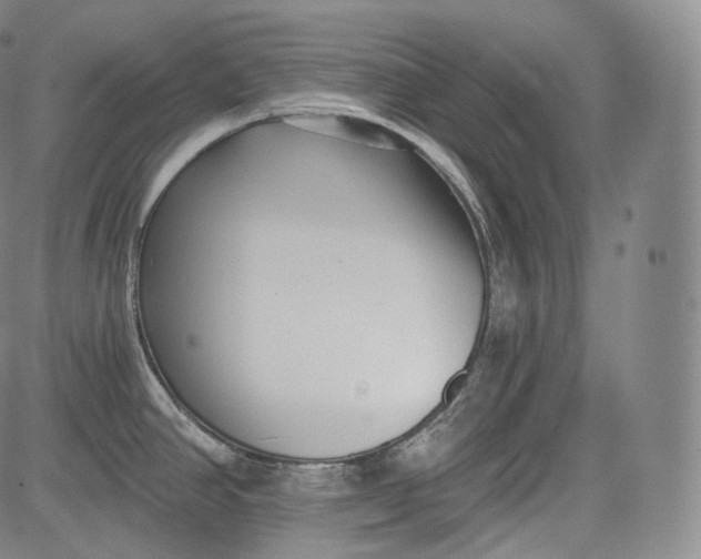 X0000084041390200703022137