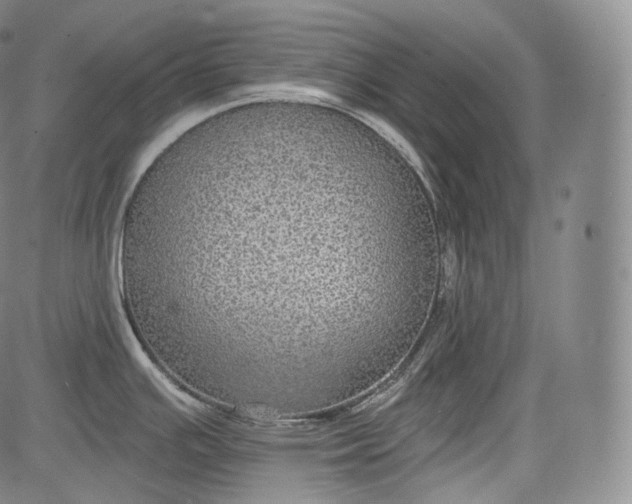 X0000084041391200703022137