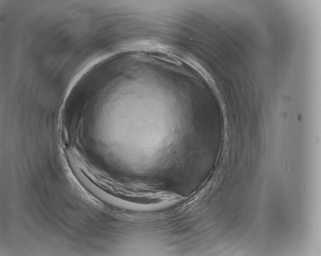 X0000084041392200703022137