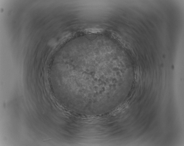 X0000084041393200703022137