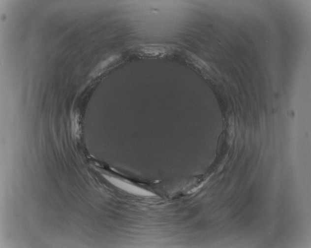 X0000084041394200703022137