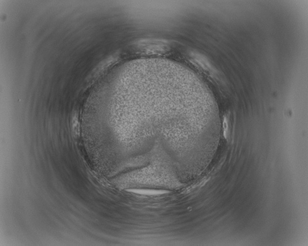 X0000084041395200703022137