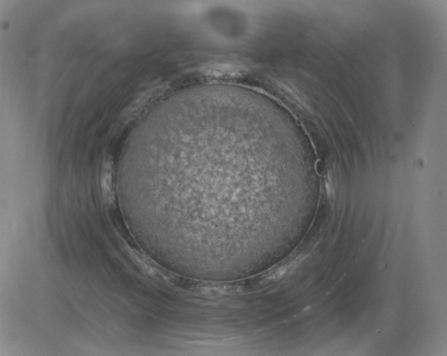 X0000084041396200703022137