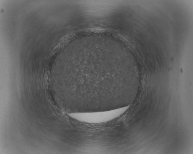 X0000084041397200703022137