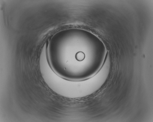 X0000084041398200703022137