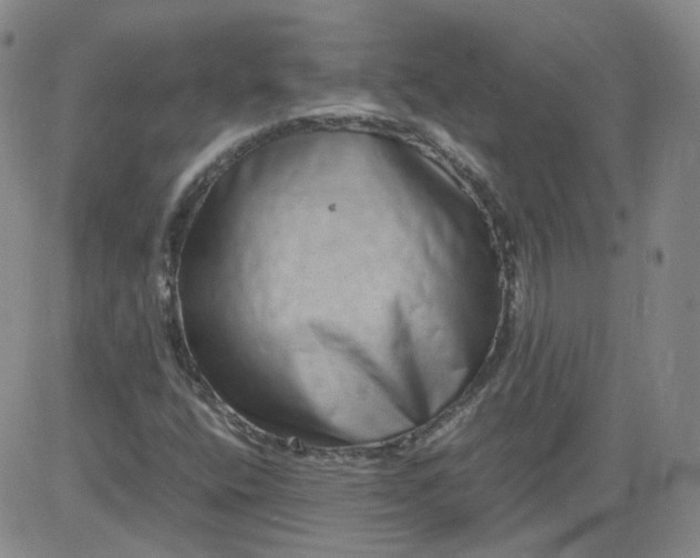 X0000084041400200703022137