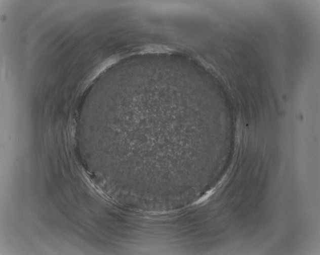 X0000084041401200703022137