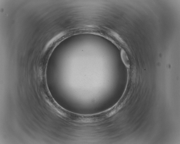 X0000084041402200703022137