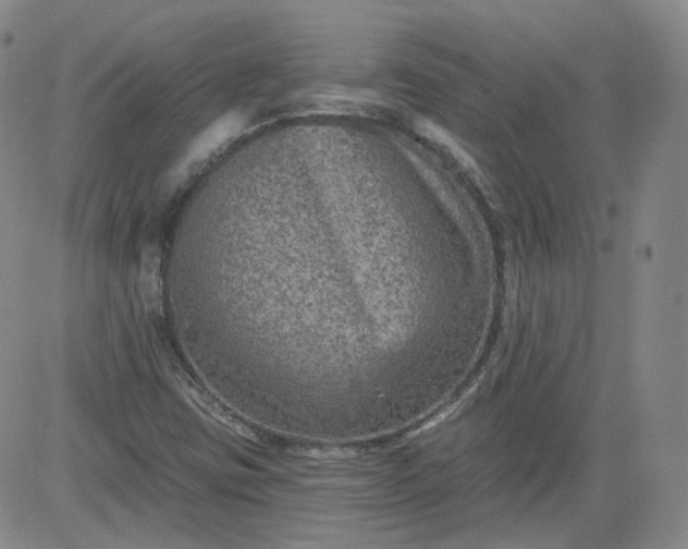 X0000084041403200703022137