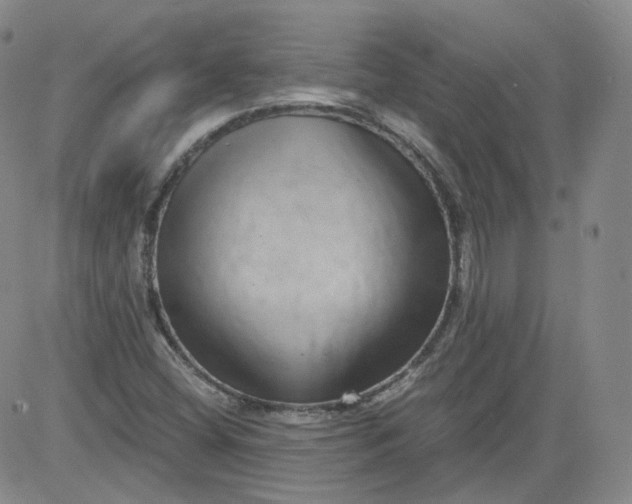 X0000084041404200703022137