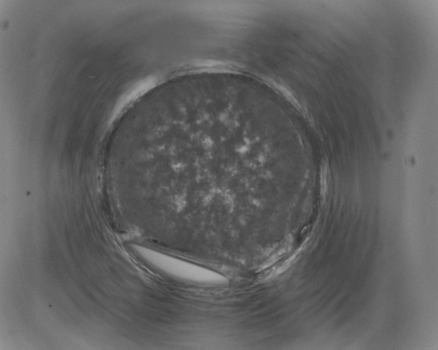 X0000084041405200703022137