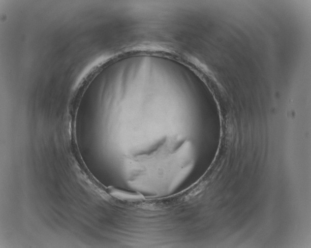 X0000084041408200703022137