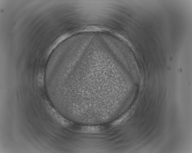 X0000084041409200703022137