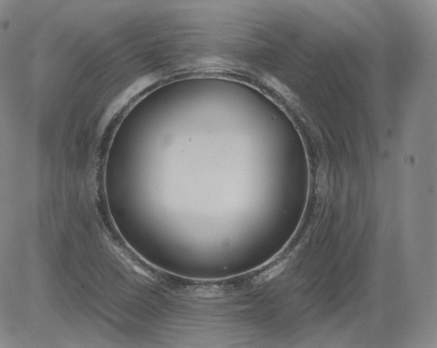 X0000084041410200703022137