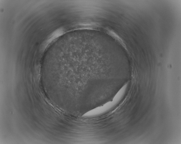 X0000084041411200703022137