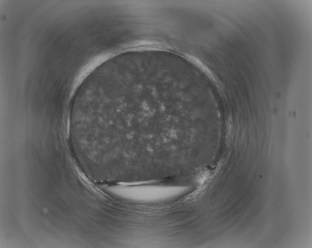 X0000084041413200703022137