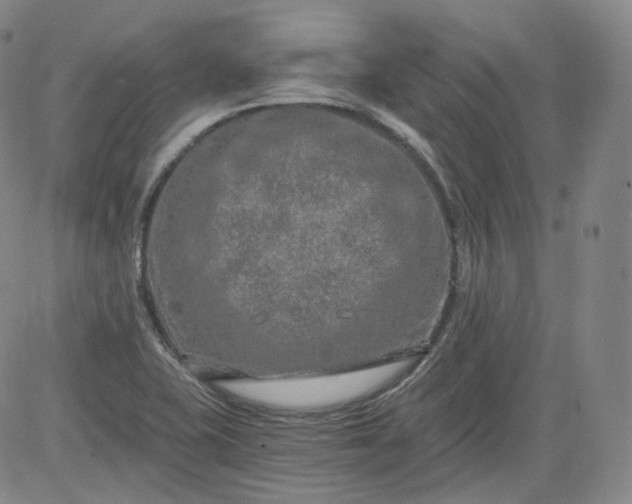 X0000084041415200703022137