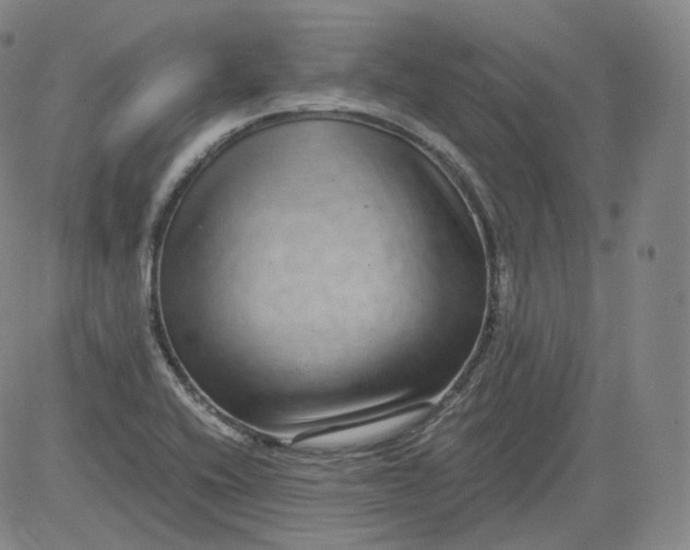 X0000084041416200703022137