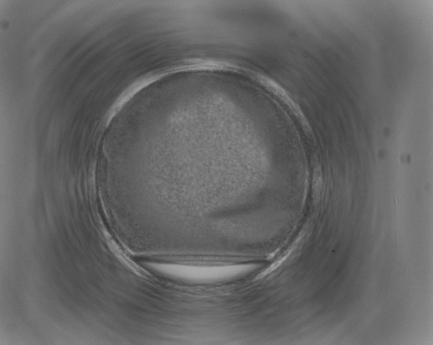 X0000084041417200703022137