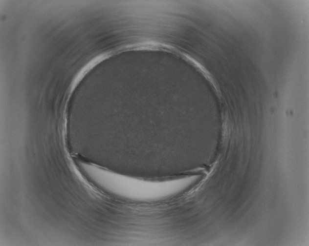 X0000084041418200703022137